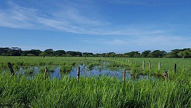 FARM IN NICARAGUA OF 939.6 ACRES