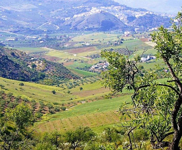 View Details EQUESTRIAN PROPERTY IN ALORA NEAR MALAGA Land House Farm