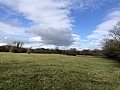 Farmhouse with 14 acres and stables in Co. Cork Ireland