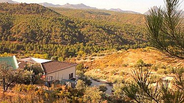 Remote off-grid eco-house and Olive Farm...