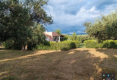 Olive Grove Farmstead with Two Homes & E...
