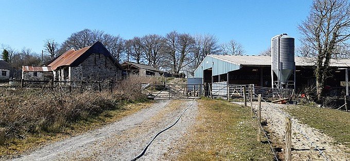 Secluded farm, 67 acres, equestrian or rewilding potential