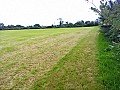 FARMLAND FOR SALE IN NP182AX AREA APPROX 9 ACRES OF LAND