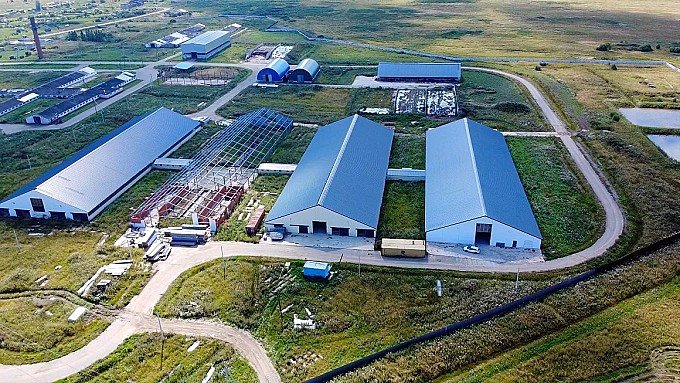 Superb Plot of Land and Dairy Farm for Sale in Russia